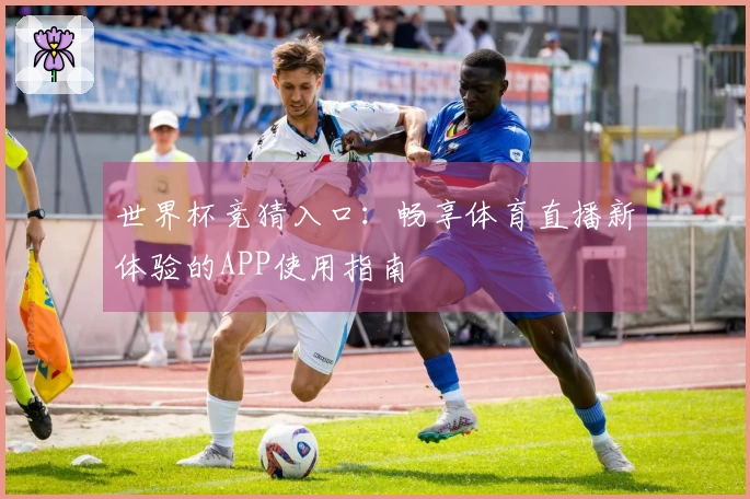 世界杯竞猜入口：畅享体育直播新体验的APP使用指南
