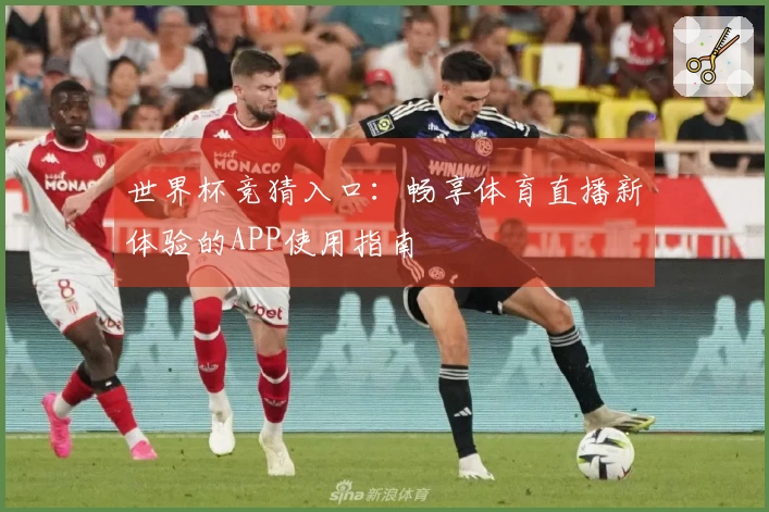 世界杯竞猜入口：畅享体育直播新体验的APP使用指南