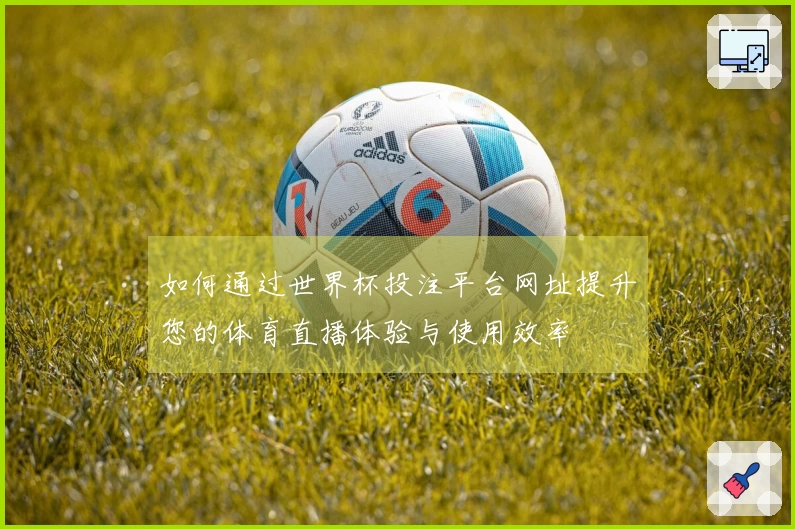 如何通过世界杯投注平台网址提升您的体育直播体验与使用效率