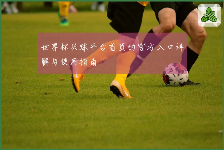 世界杯买球平台首页的官方入口详解与使用指南